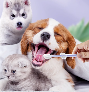 Kingtale Gentle <strong>Dental</strong> Care Non-Toxic Soft and Durable -Ideal Small Dog and <strong>Cat</strong> 3-Piece Pet Silicone Toothbrush Kit - Product Image 3