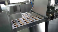 Machine à fabriquer des œufs surprise au chocolat entièrement automatique avec système de contrôle intelligent, chocolat et jouets inclus