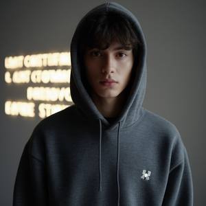 Offre Spéciale hommes 100% coton sweat à capuche surdimensionné lourd 3D pour bouffée impression anti-boulochage brodé Streetwear col à capuche - Product Image 5