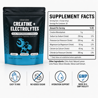 Poudre d'électrolytes et de créatine en sachet saveur fruitée, sans sucre, faible en calories, certifiée HALAL, pour la reconstitution post-entraînement (ODM/OEM)
