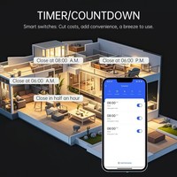 Disjoncteur intelligent Cozylife 10A/20A sans moniteur d'énergie, avec fonction de minuterie à distance via application mobile
