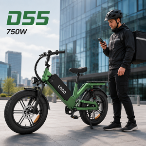 Vélo cargo électrique D55, 48V 750W, pneus larges de 20 pouces, batterie intégrée, frein à disque, cadre en alliage d'aluminium, vélo électrique de livraison - Product Image 1