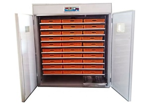 Tốt nhất bán gia cầm hoàn toàn tự động 2640 trứng <span class=keywords><strong>Setter</strong></span> lồng ấp và Máy Ấp Trứng - Product Image 2