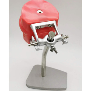 Modelo de Consultorio Dental Heidefee con Mandíbula Roja para Entrenamiento de Estudiantes, Operación Manual - Product Image 3
