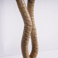 Dracaena artificielle en plastique durable, écologique, imperméable, à feuillage luxuriant, économique, H120cm, pour décoration moderne, réaliste