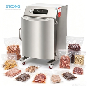 Macchina per il Confezionamento Sottovuoto Elettrica ad Alta Capacità, Sigillatrice Verticale a Grande <span class=keywords><strong>Camera</strong></span>, Attrezzatura Industriale Automatica ad Alta Precisione - Product Image 1