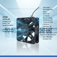 Ventilateur axial électrique à roulement à billes Ebm 4650N/4650N-465 230V 19W 160m/h, boîtier en aluminium, 46dB(A), pour centre de données et cuisine