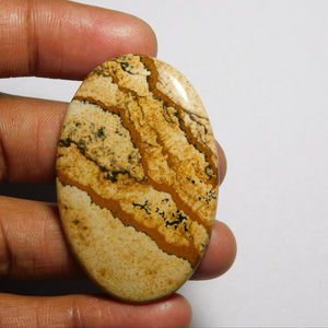 100% naturel de qualité supérieure image jaspe lisse taille libre Cabochon pierre précieuse au prix de gros du fabricant et exportateur indien - Product Image 1