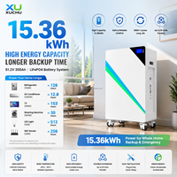 Batterie lithium LiFePO4 murale 51,2 V avec système d'énergie solaire hybride pour panneaux solaires connectés au réseau