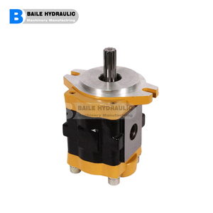 Bomba de engranajes hidráulica serie CBHZ CBHZG  CBHZ-F23 CBHZ-F25 CBHZ-F28 CBHZ-F30 CBHZ-F32 CBHZ-F36 - Product Image 4