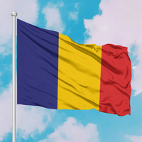 Drapeau national du Tchad personnalisé promotionnel pas cher 3*5 ft 100% Polyester campagne sportive d'événement national personnalisé tous les pays drapeaux