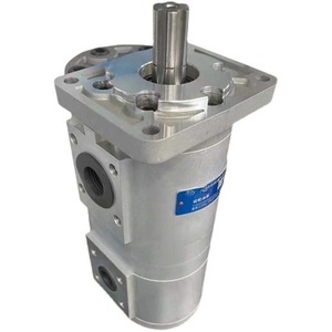 Bomba Hidráulica de Doble Engranaje Cbnl-F563/532-Bfhl Cbnl-F540/520-Bfhl para Excavadora - Product Image 4