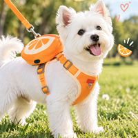 Harnais et laisse pour chien à imprimé fruits mignons, ensemble gilet respirant en maille douce à enfiler, fabricant OEM sur mesure