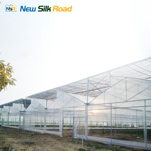 طماطم استوائية متعددة الدفيئة الزراعية الكبيرة لزراعة الخضروات ميزة المنشار المائية Span - Product Image 6