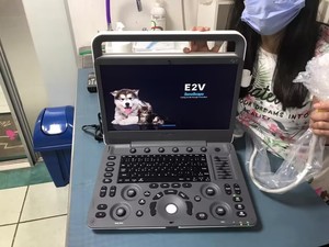 Échographe vétérinaire portable électrique en métal de haute qualité Sonoscape E2V pour clinique et hôpital - Product Image 2