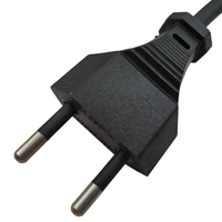 Câble d'extension 10A 250V H05RN-F Europe à 2 broches vers 2 fils dénudés avec bornes