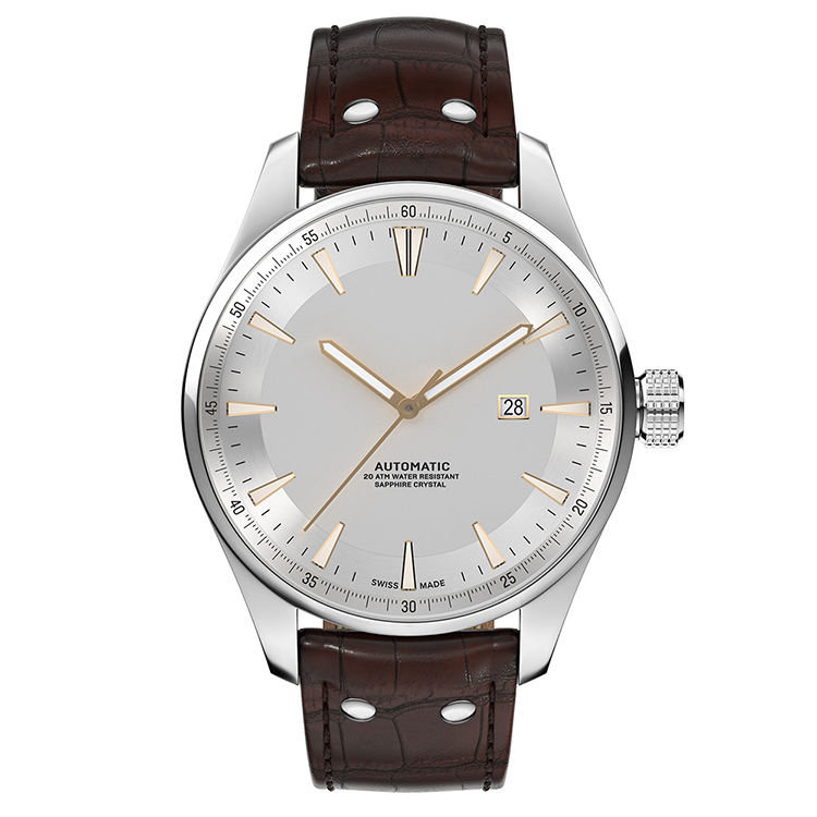 สีน้ำตาลเงิน