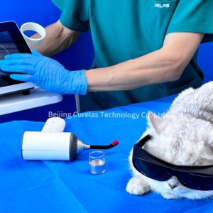 Thérapie laser de classe 4 pour vétérinaire chien chat vétérinaire Animal cheval thérapie laser vétérinaire pour le soulagement de la douleur - Product Image 5