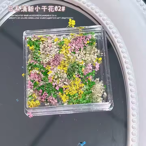 Nuevo modelo brillante de gama alta 3D Mini <span class=keywords><strong>flores</strong></span> secas <span class=keywords><strong>flores</strong></span> reales secas naturales calcomanías <span class=keywords><strong>para</strong></span> decoración de <span class=keywords><strong>uñas</strong></span> pegatinas Premium <span class=keywords><strong>para</strong></span> arte de <span class=keywords><strong>uñas</strong></span> - Product Image 6