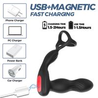 Masseur de prostate vibrant USB, stimulateur anal, godemiché, plug anal, stimulateur de testicules, retardateur d'éjaculation, anneau pénien, jouets sexuels