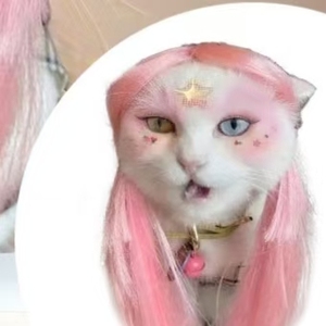 Nouvelle perruque pour animaux de compagnie rose longue et droite universelle, solide, pour chats et chiens, peut être attachée, à porter en été et en hiver, moins de miaulement, costume de perruque pour chat - Product Image 3