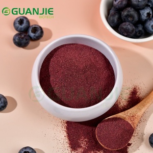 フリーズドライブルーベリーパウダー 100%純粋 無添加 アントシアニン豊富 - Product Image 1