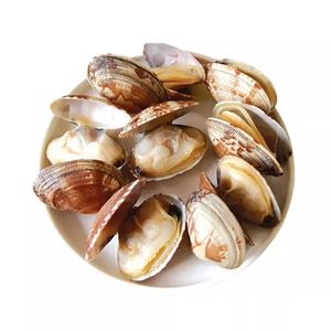 Tốt Ngon Bán Chạy Vỏ Sò Thật Luộc Đông Lạnh Trai Hải Sản Tươi Trẻ Em - Product Image 1