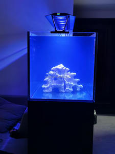 Lampe rectangulaire Maxspect R5-150/200/300 pour aquarium de coraux marins, éco-responsable et économe en énergie, idéale pour les poissons et l'utilisation en salon - Product Image 6