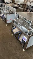 Kersenzaad Automatische Olijf Pitting Dadels Kersenkern Verwijderen Fruit Putmachine