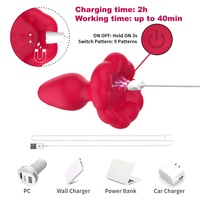 Vibromasseur anal rotatif, 9 modes de vibration, rotation à 360 degrés, charge magnétique USB, vibromasseur anal pour débutants