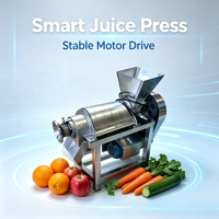 Professionele automatische industriële sapcentrifuge spiraalsapcentrifuge voor fruit voor fruitverwerkingsbedrijven