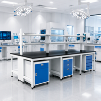 Table de travail de laboratoire robuste, mobilier de laboratoire, poste de travail adapté aux universités, hôpitaux et centres de tests