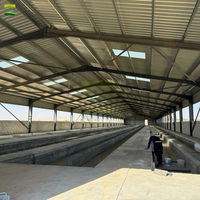 Gran Proyecto Llave en Mano para Granja de Ovejas Great Frame 4000: Cercado Galvanizado para Corrales de Ovejas con Lamas de Plástico para Construcción Moderna de Naves Ovinas