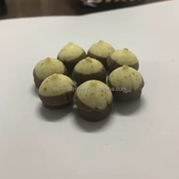 Nouvelle ligne de production de machines à chocolat en forme de champignons certifiées ISO en acier inoxydable, machine à biscuits, déposeuse de biscuits