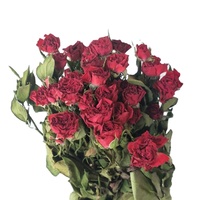 Bouquet de roses séchées en gros pour la décoration intérieure, cadeaux de mariage, arrangements floraux, cadeau pour femmes, décoration de maison, arche florale
