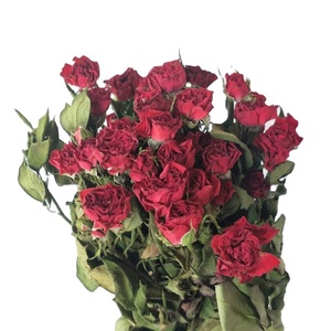 Ramo de Rosas Secas al por Mayor, Artículos de Decoración para el Hogar, Recuerdos de Boda, Arreglos Florales, Regalo para Mujeres, Decoración para el Hogar, Arco de Flores - Product Image 2