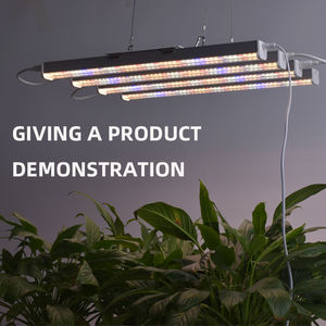 Lampe LED de croissance pour plantes, éclairage horticole à spectre complet, haute puissance <span class=keywords><strong>2022</strong></span> W, vente en gros, haute luminosité, 100/<span class=keywords><strong>prix</strong></span> d'usine - Product Image 5