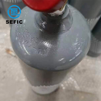 Tailles des bouteilles d'acétylène DOT8AL MC10 Bouteilles de gaz sans amiante Cylindre de gaz industriel professionnel