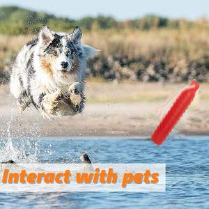 Игрушка-поплавок для собак-интерактивный тренировочный бампер и муляж для извлечения собак на улице-легкий для поплавка на водном бассейне - Product Image 6