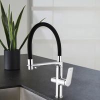 Robinet de cuisine en laiton haut de gamme avec mitigeur de cuisine pour canalisation d'eau pure