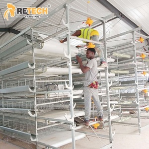 Batterie Poulet <span class=keywords><strong>Cage</strong></span> H T Ype d'équipement de volaille pour l'élevage de poulets Poulailler Poulailler - Product Image 1