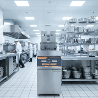 Friteuse Électrique Professionnelle Automatique à Panier Coulissant, Contrôle Numérique, 16,5 kW, 380 V, Grande Capacité 22L+22L
