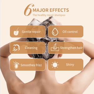 Nhà cung cấp bán buôn nguyên liệu làm dầu gội hữu cơ dạng thùng, dầu gội gốc Argan, mật ong, dầu gội gallon số lượng lớn, thiết kế nhãn dầu gội OEM - Product Image 5