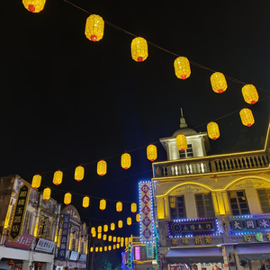 Nouvel An <span class=keywords><strong>Printemps</strong></span> Festival De Mariage Led Lanterne Lumière Extérieure Étanche Décoration Motif Lumières - Product Image 6
