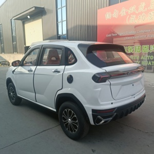Mini SUV Eléctrico Marca NE Fabricado en China para Adultos, Vehículo de Nueva Energía de Alta Potencia 13000W en Venta - Product Image 5