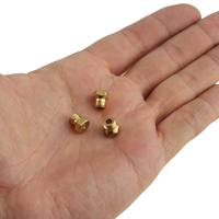 Kit de Conversión a Gas LP, Boquilla de Latón M6 de 0.75mm para Tubería de Gas Propano/GLP/Gas Natural, Calentador de Agua, Piezas para Quemadores DIY