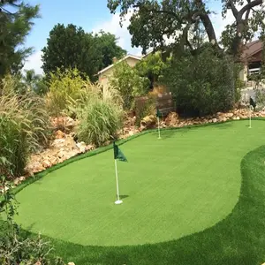 בסיטונאות הטוב ביותר לשים דשא-האיכות הטובה ביותר חיצוני לשים protiomal דשא ספורט PE מיני גולף שדה דשא