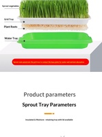 Plateau de semis multifonctionnel en PP crypté, robuste, monobloc, pour la germination en gros de légumes hydroponiques et de pousses de haricots