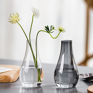 <span class=keywords><strong>Vase</strong></span> <span class=keywords><strong>en</strong></span> <span class=keywords><strong>verre</strong></span> de style nordique, décoration <span class=keywords><strong>pour</strong></span> la maison, minimaliste, petite paillettes, bourgeon de <span class=keywords><strong>jacinthe</strong></span> - Product Image 2