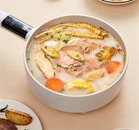 Casserole électrique polyvalente de 4 L avec fonction économie d'énergie, design simple pour usage domestique, hôtelier et cuisine de plein air raffinée